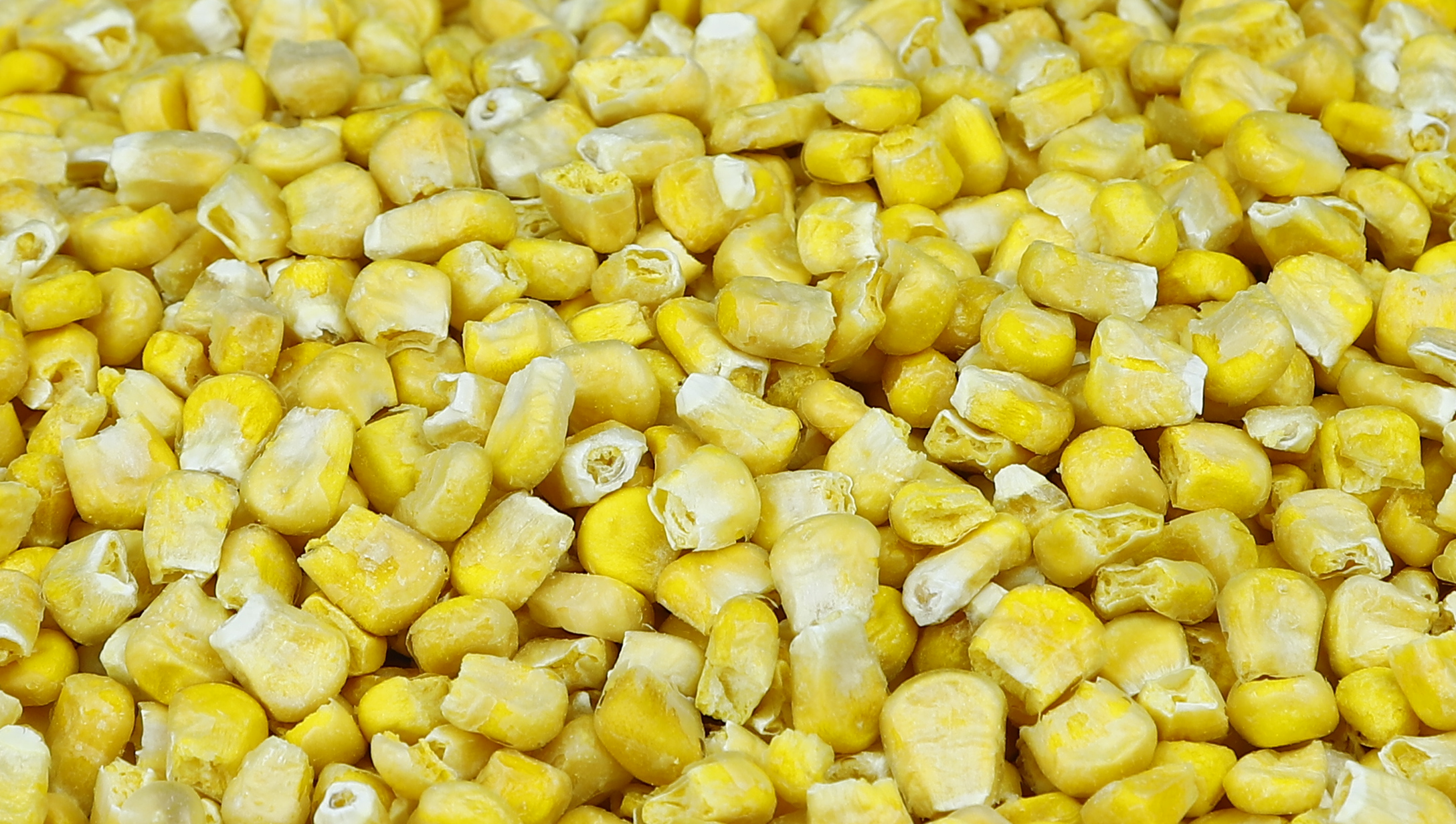 冻干甜玉米粒
