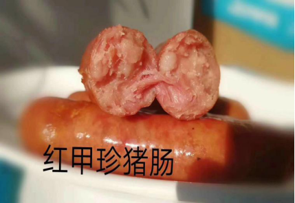 红甲珍珠肠